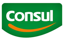Logo-Consul